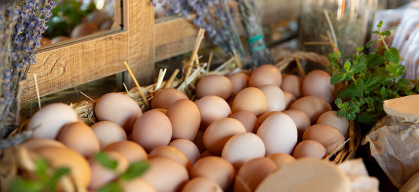 comercialsinfrontera-huevos3-landing